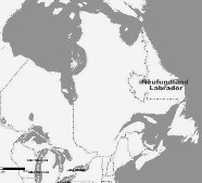 Neufundland Labrador Kanada Navi mieten leihen mit Karte. 